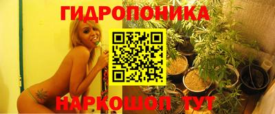 гашик Балахна