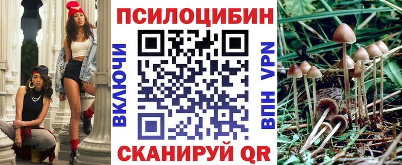Псилоцибиновые грибы MAGIC MUSHROOMS  сколько стоит  Заинск 
