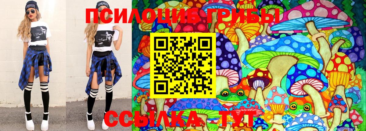 Псилоцибиновые грибы GOLDEN TEACHER  Заинск 