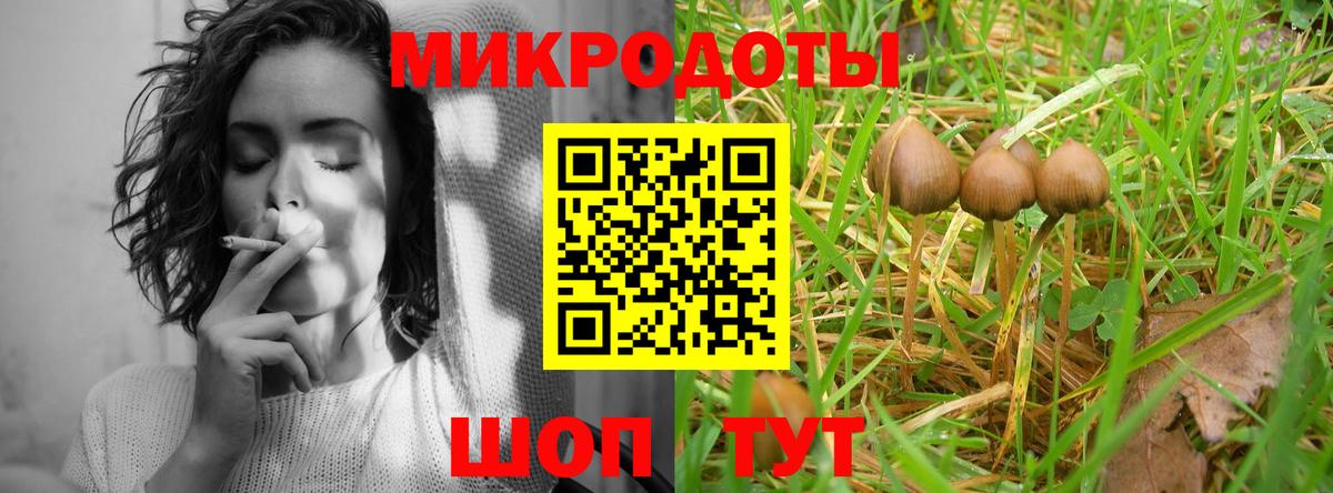 Псилоцибиновые грибы GOLDEN TEACHER  Вход с VPN  Галлюциногенные грибы Magic Shrooms  Заинск 
